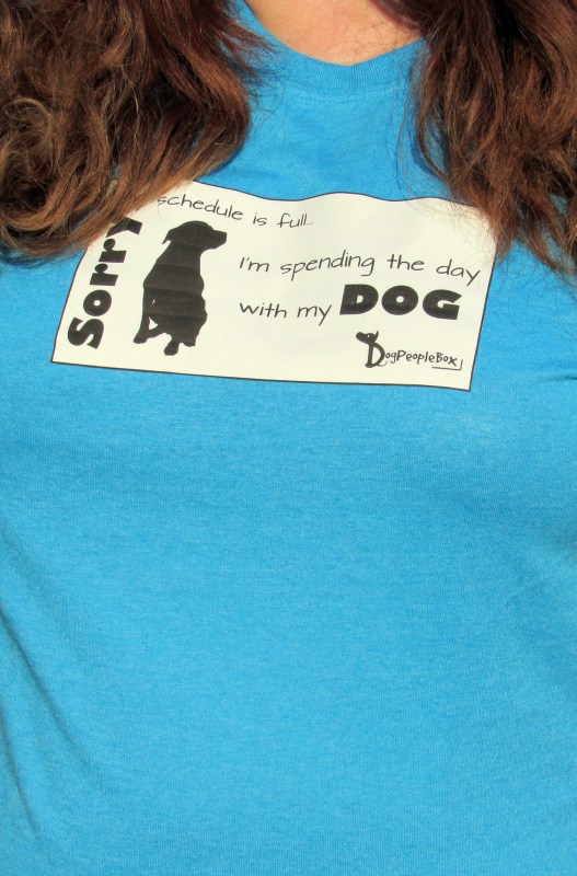 I am wearing the shirt