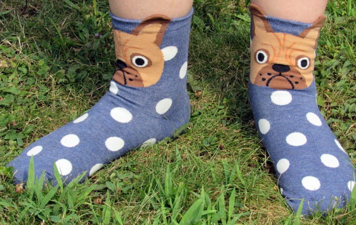 Adorable Socks!