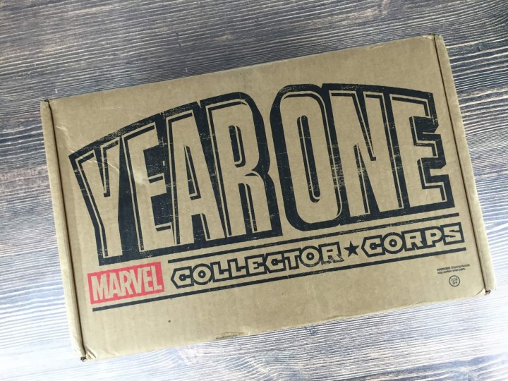Marvel Collector Corps Year One (1)