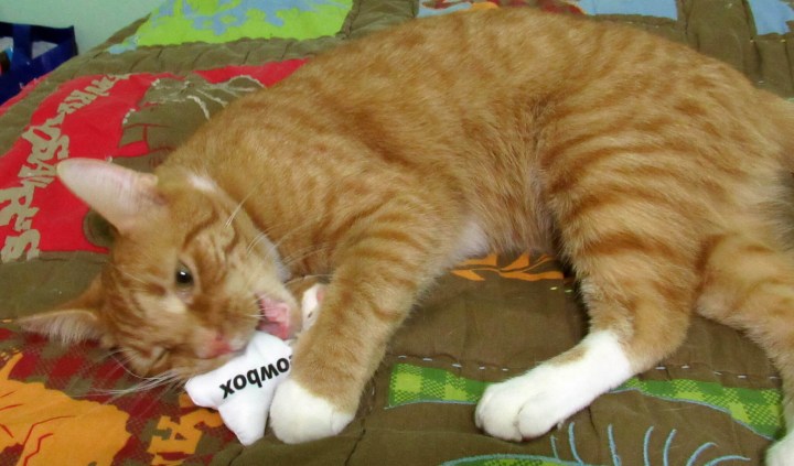 Puss in Boots