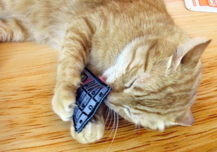 Loves his cellphone