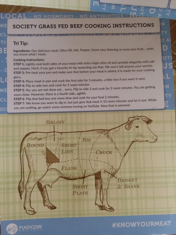 Plaid Cow (17)
