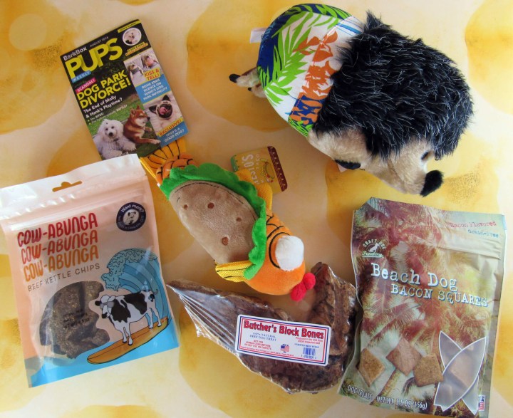 Barkbox large dog Clearance