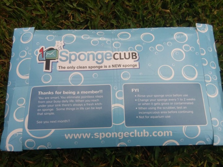 sponge club (2)