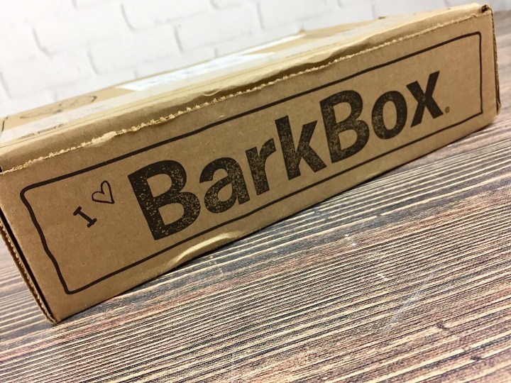 barkbox-september-2016-unboxing