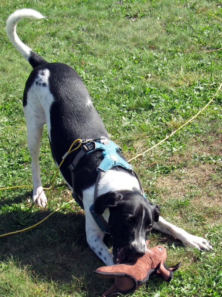 Play with Me
