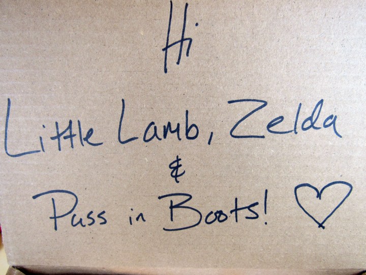 Names on the box