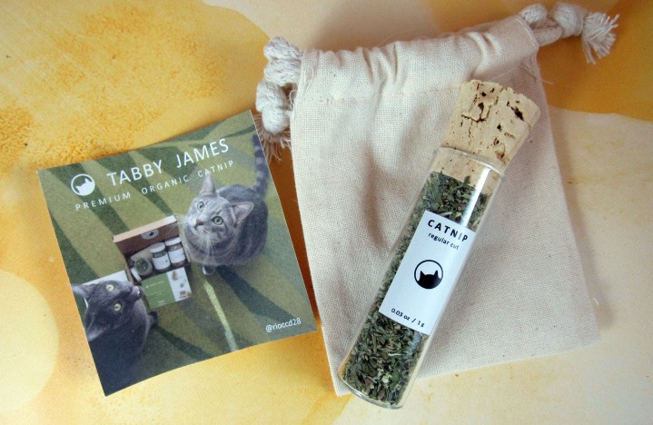 Catnip