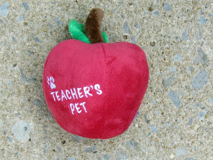 Pet GiftBox World's Best Teacher's Pet