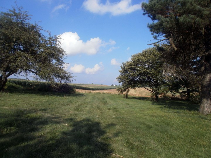 The Farm
