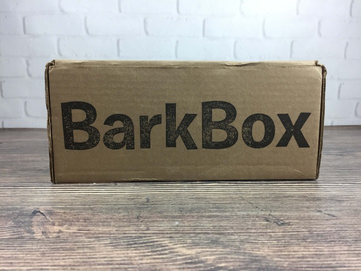 barkbox-october-2016-box