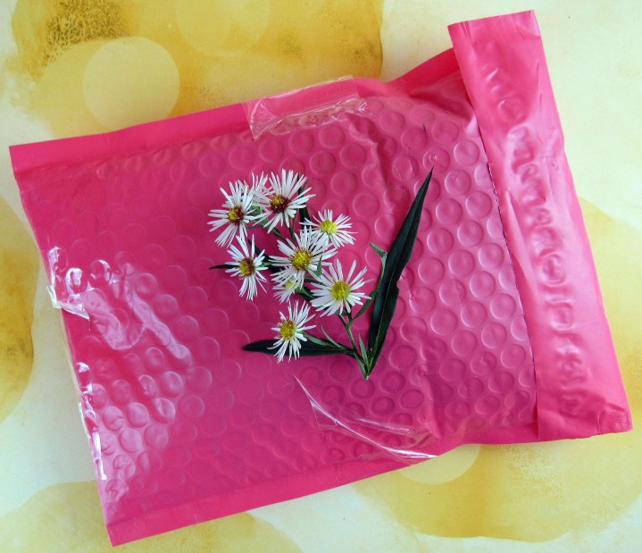 Flowers not included