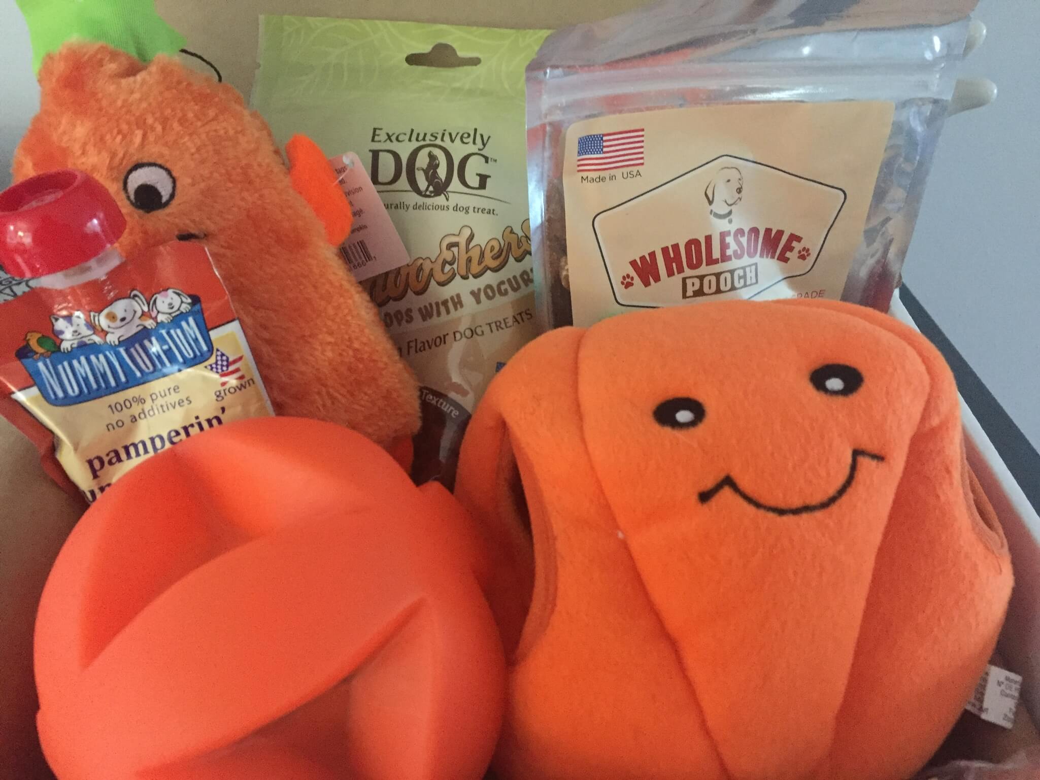 Pooch Perks October 2016 Subscription Box Review & Coupon Hello