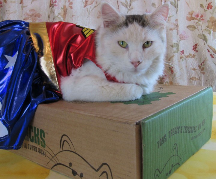 PurrPack