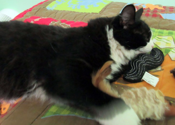 Sylvester