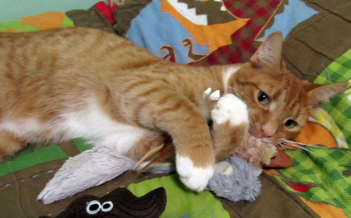 Puss in Boots