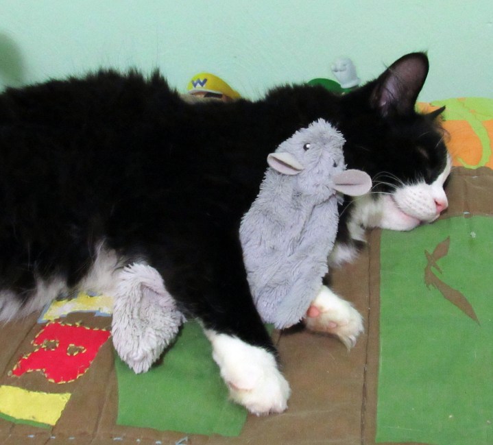 NapTime