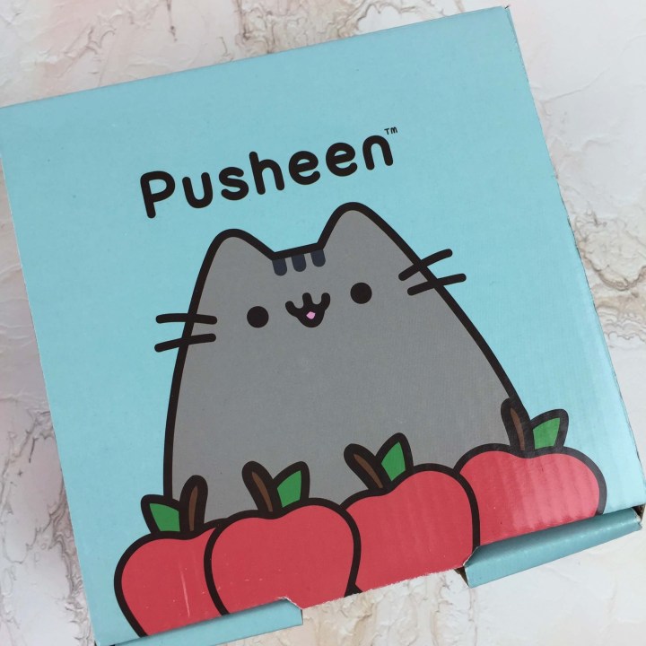 pusheen-box-fall-2016-14