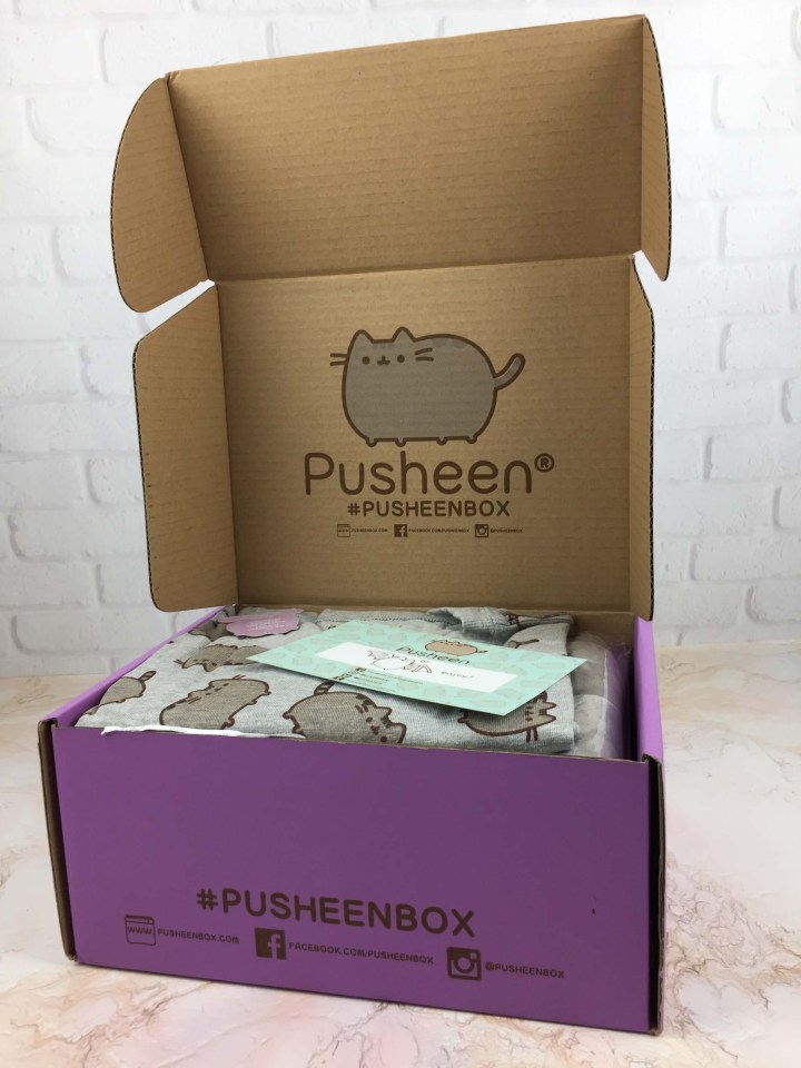 pusheen-box-fall-2016-unboxed