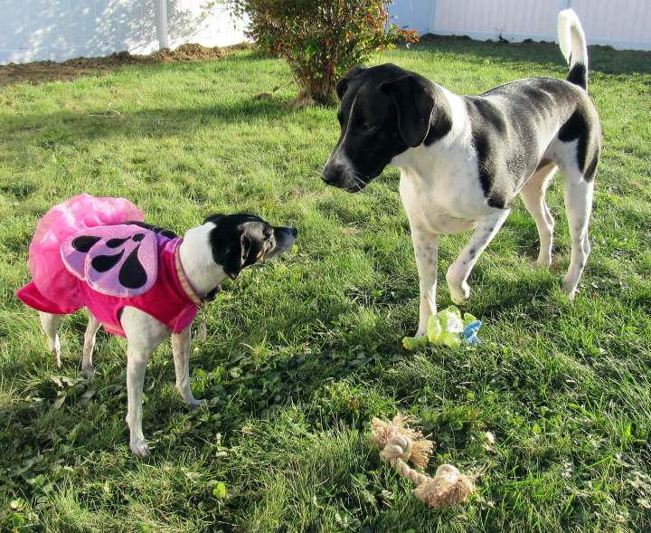 Bella and Daisy