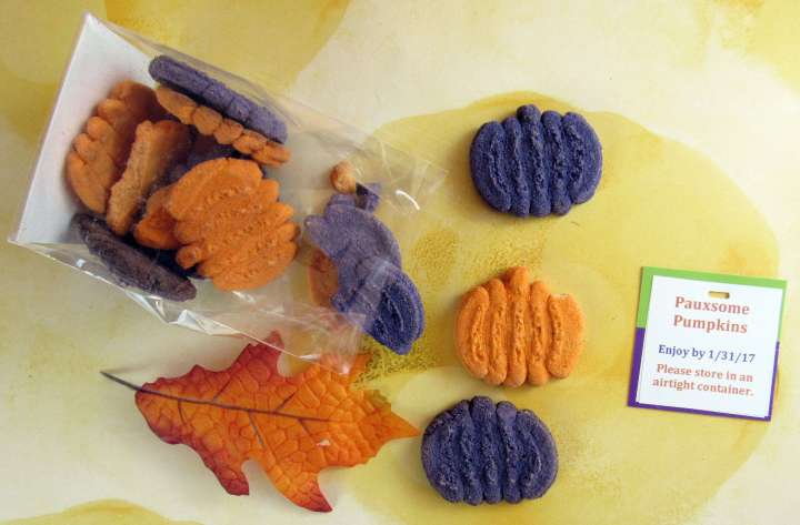 Rosie's Pumpkin & Cinnamon Treats