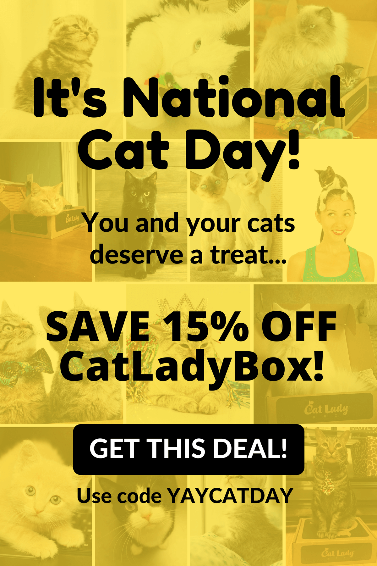 Cat Lady Box Coupon Save 15 for Cat Day! Hello Subscription