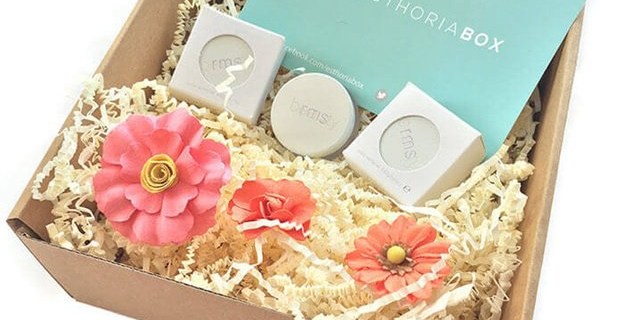 Esthoria Box Beauty Cyber Monday Coupons: Free Box + RMS Beauty Wipes Deals