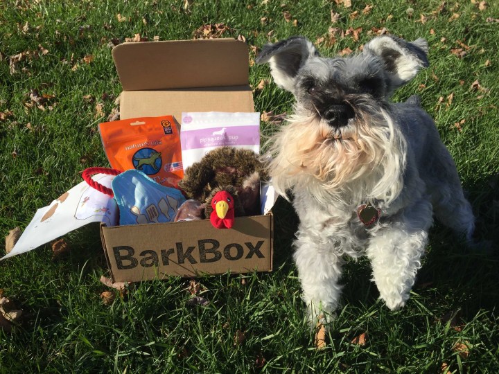 barkbox-november-2016-3