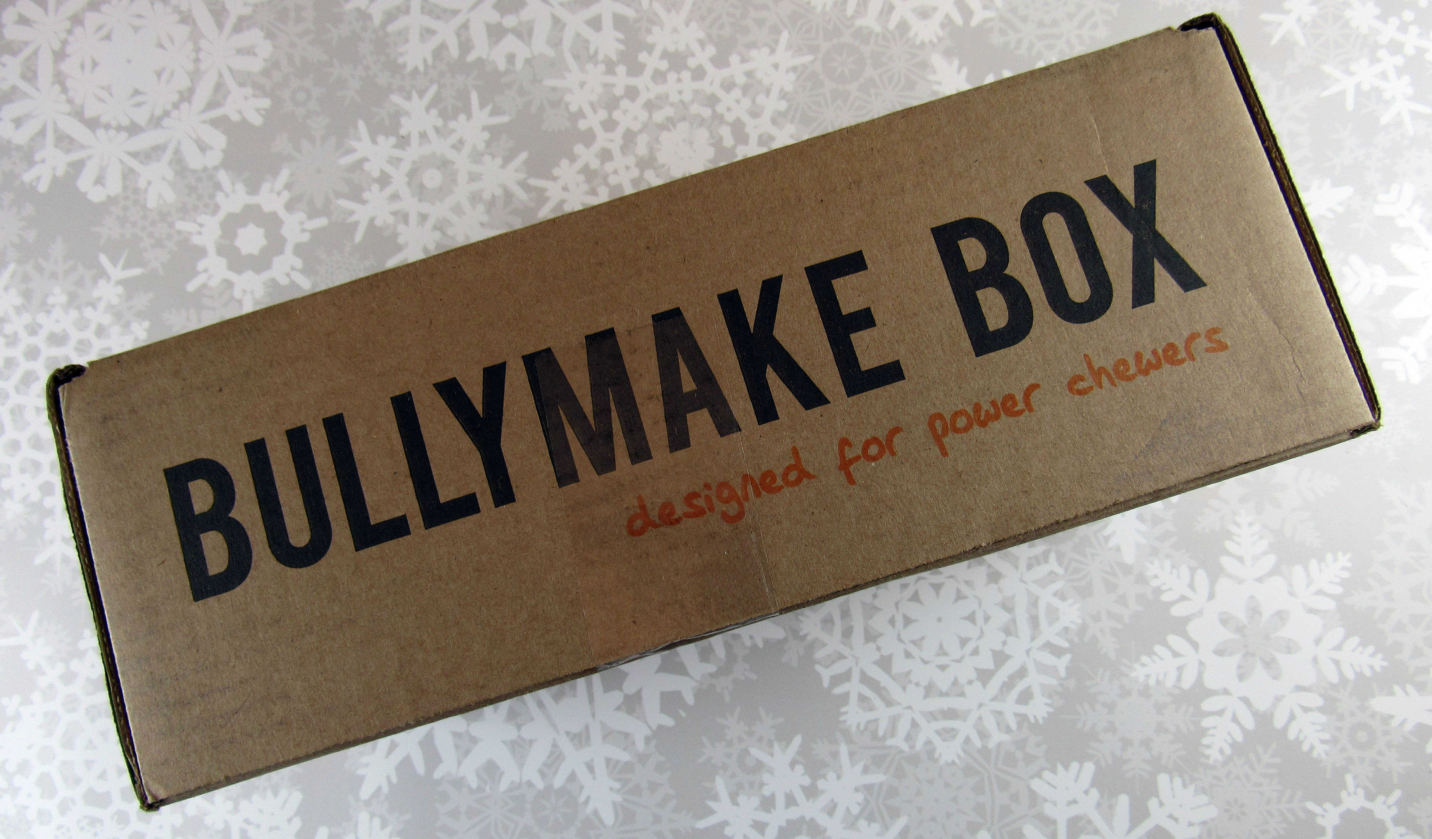 BullyMake Subscription Box Review + Coupon November 2016 Hello