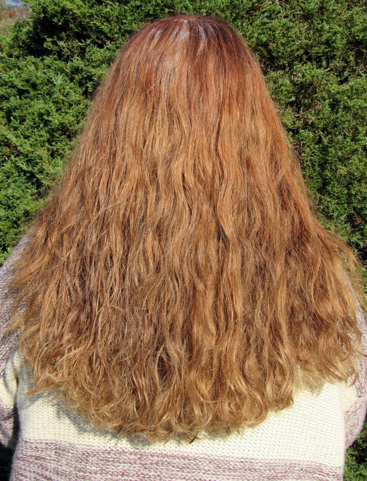 Results