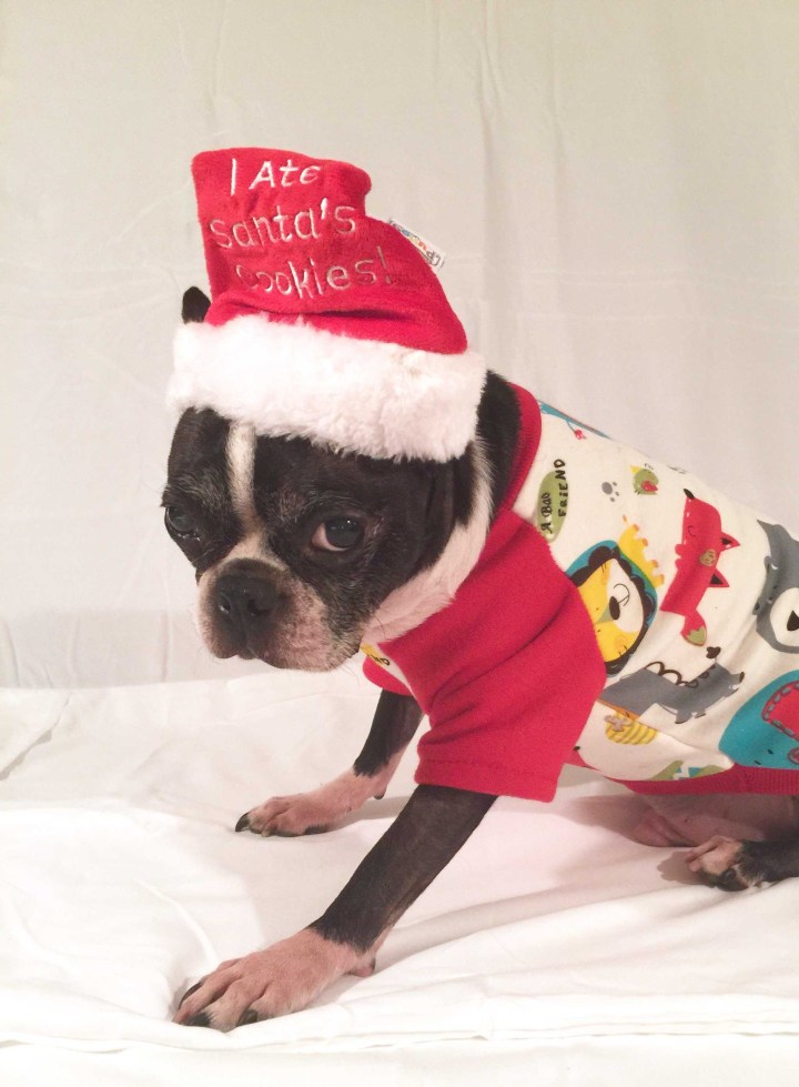 Little Guy is SO mortified!