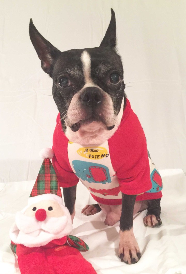 Not so excited about Santa.