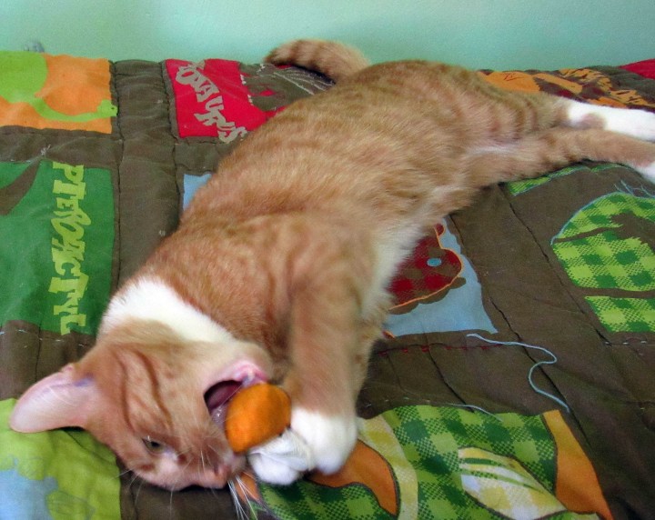 Puss in Boots