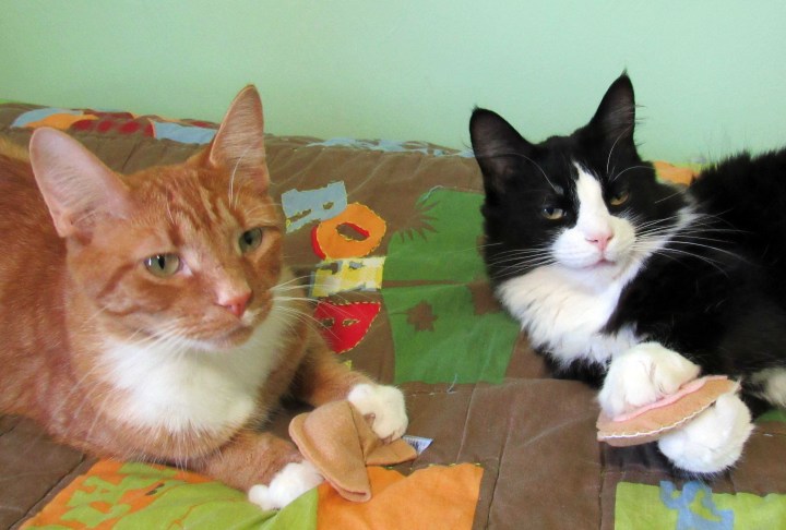 Puss in Boots and Sylvester