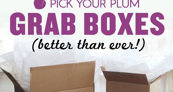 Pick Your Plum Grab Box: Available NOW in Two Sizes! + Coupon!