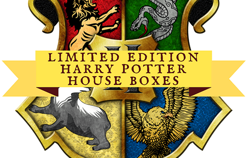 FanMail Favorites: Limited Edition Harry Potter House Boxes!