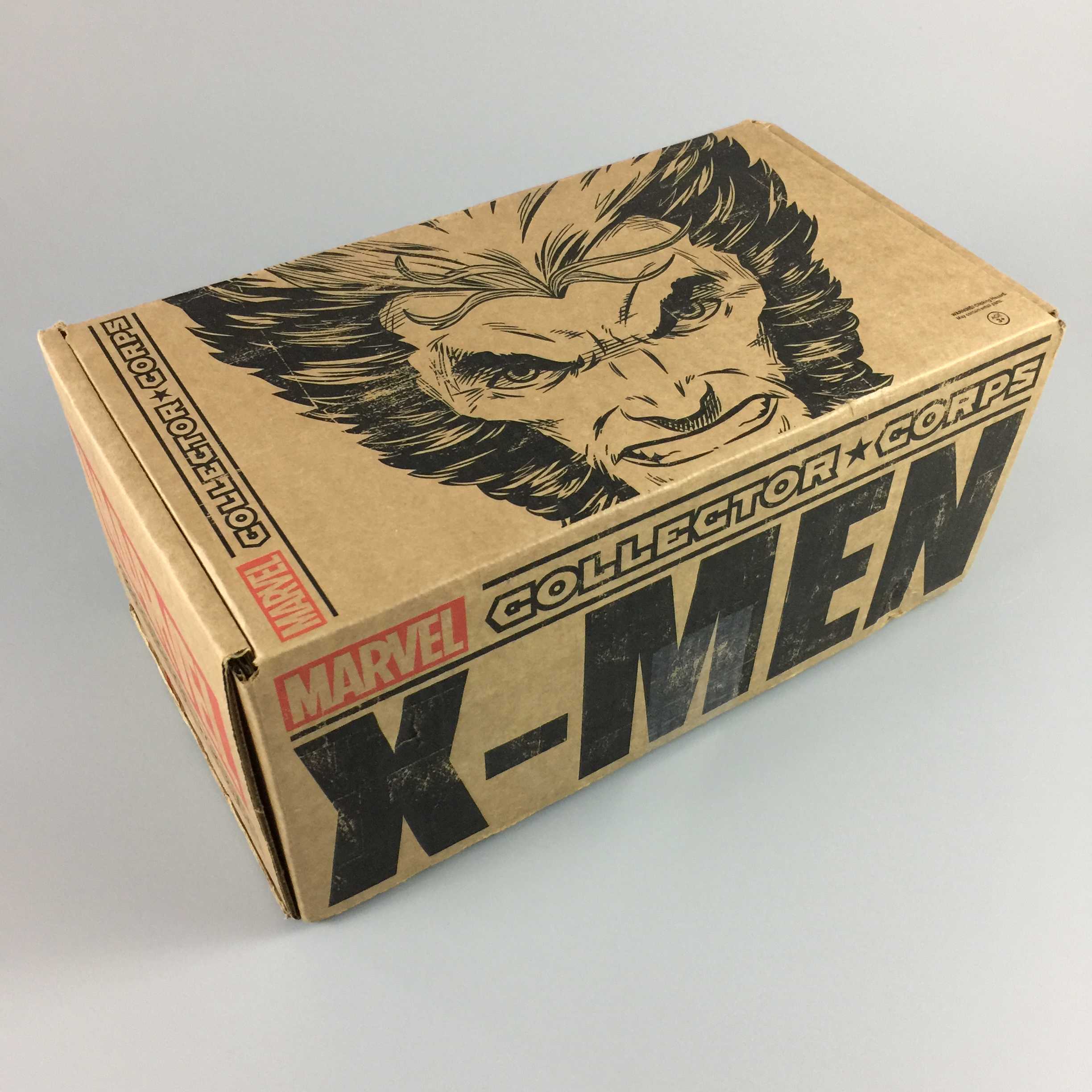 Marvel Collector Corps December 2016 Subscription Box Review XMen Hello Subscription