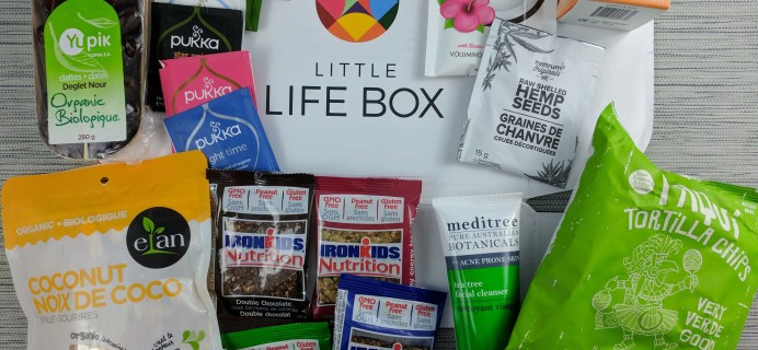 Little Life Box Subscription Box Review – December 2016