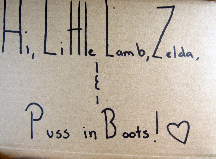 Names on boxes