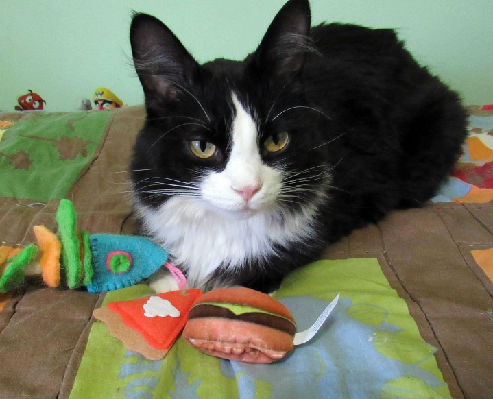 Sylvester