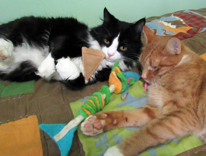 Sylvester and Puss in Boots