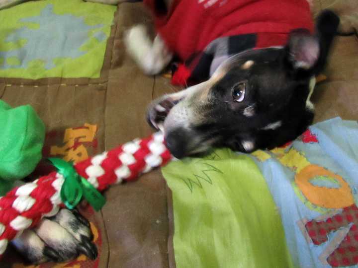 Tug of War?