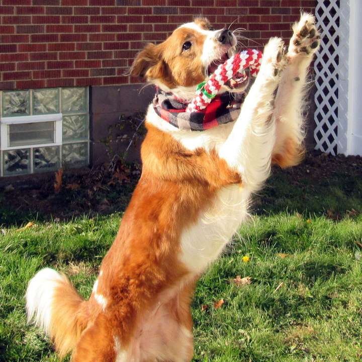 She caught it!