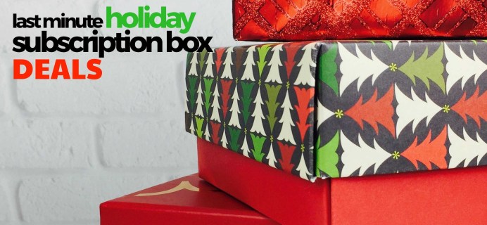 Best Subscription Box Deals To Try This Week! Last Minute Holiday Deals!