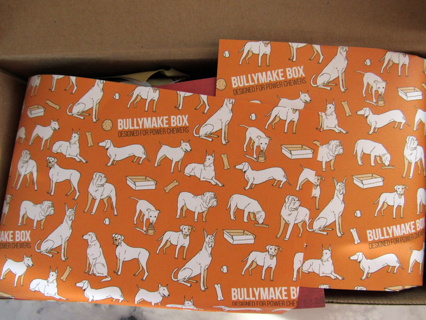 BullyMake Subscription Box Review + Coupon December 2016 hello