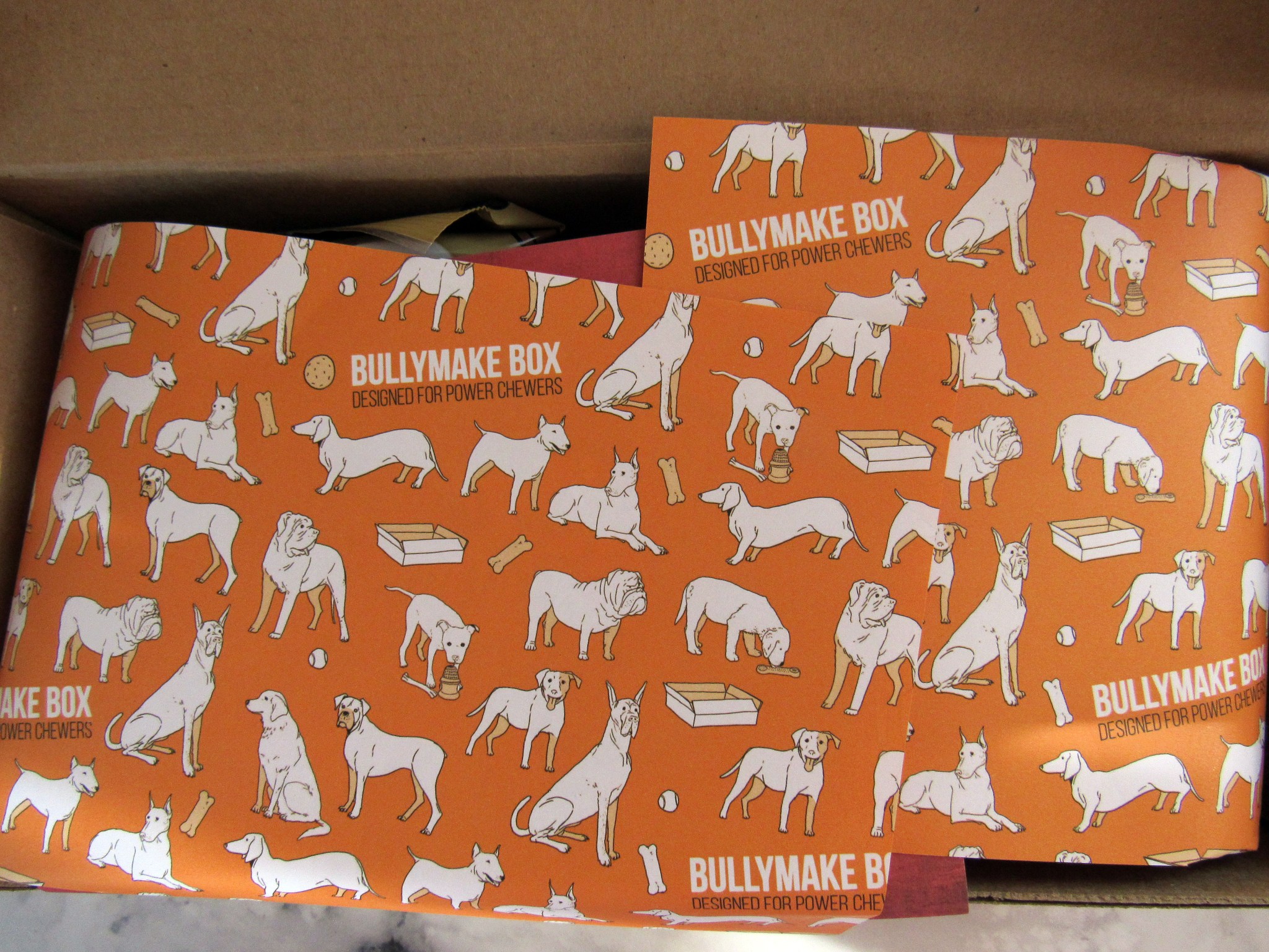 BullyMake Subscription Box Review + Coupon December 2016 hello