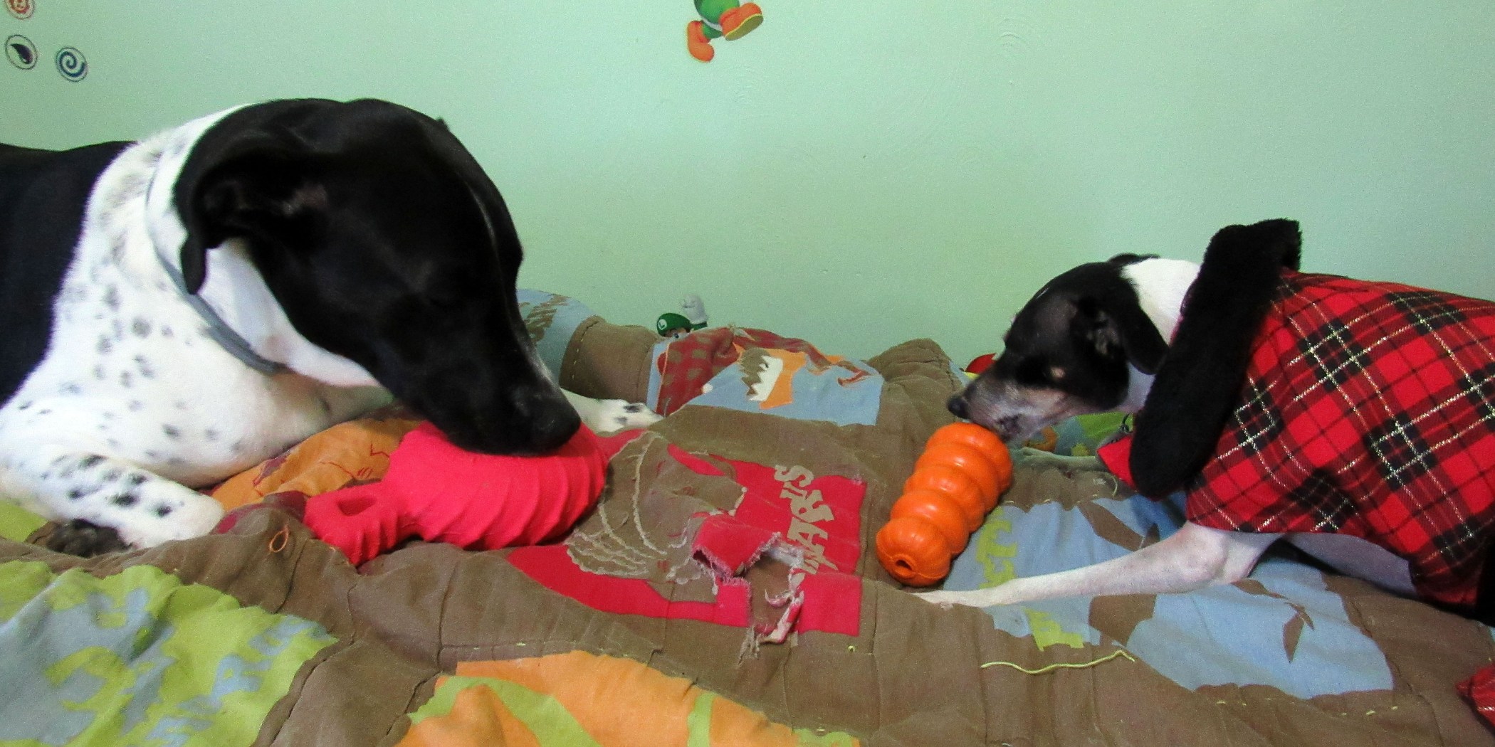 BullyMake Subscription Box Review + Coupon December 2016 hello