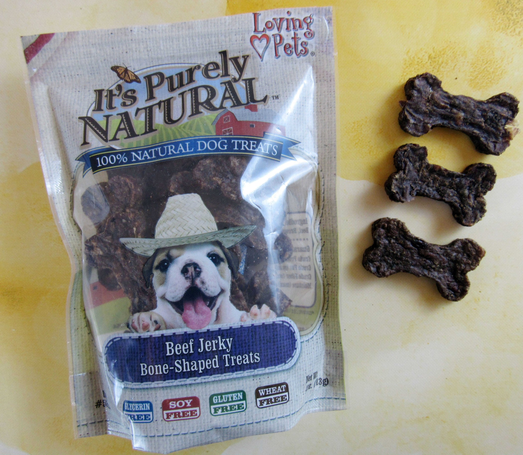 BullyMake Subscription Box Review + Coupon January 2017 hello