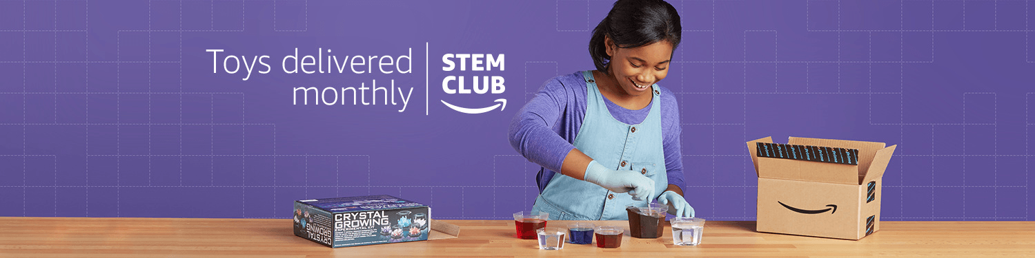 stem club toy subscription