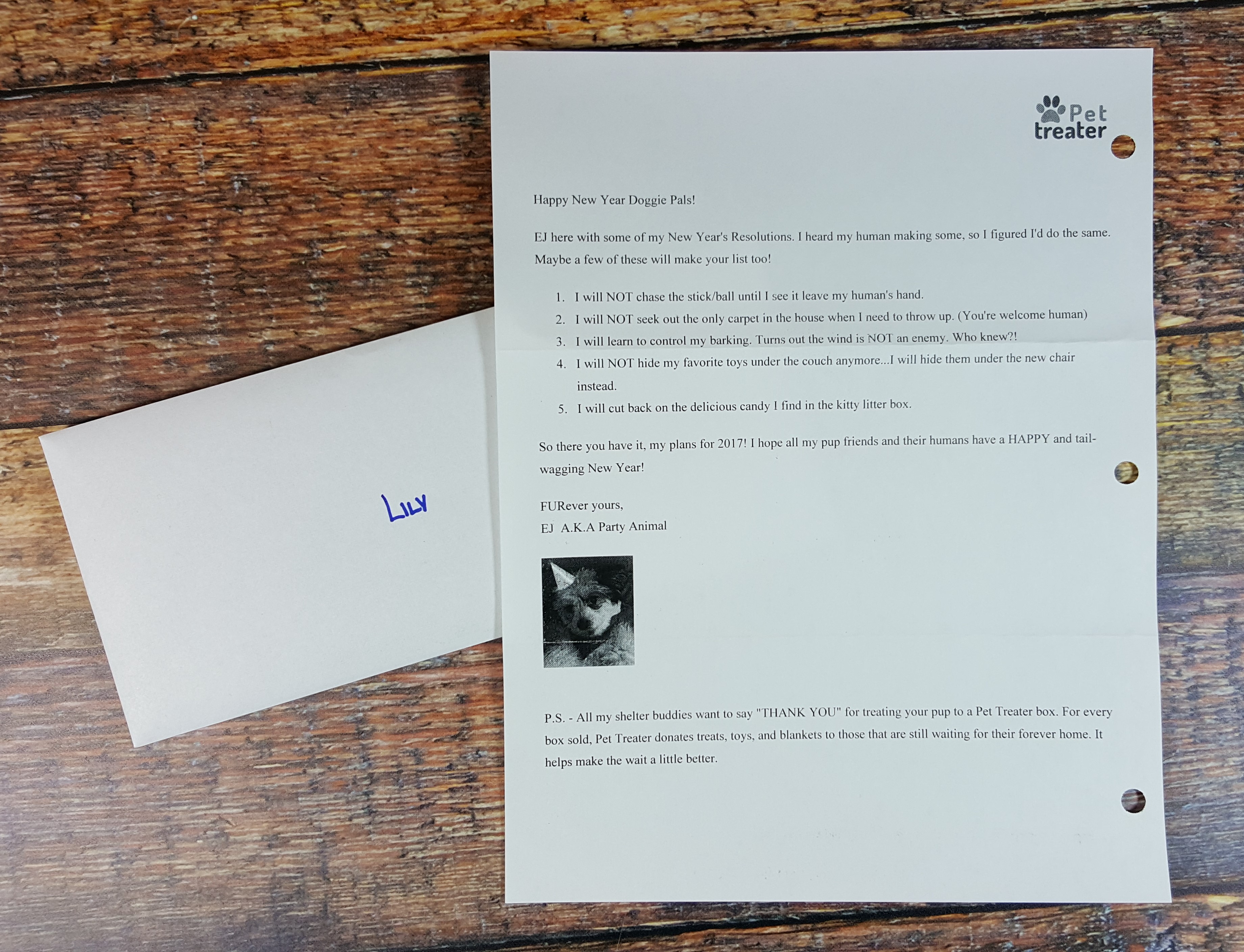 Pet Treater Dog Subscription Box Review + Coupon - January 2017 - Hello